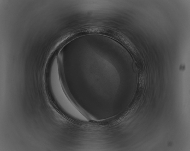 X0000095520722200801041222