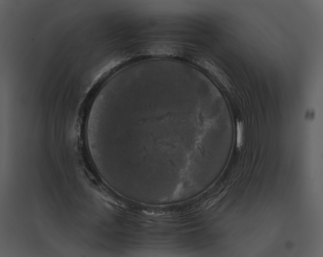 X0000095520723200801041222