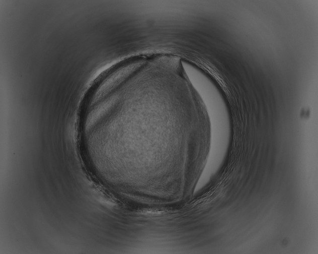 X0000095520724200801041222