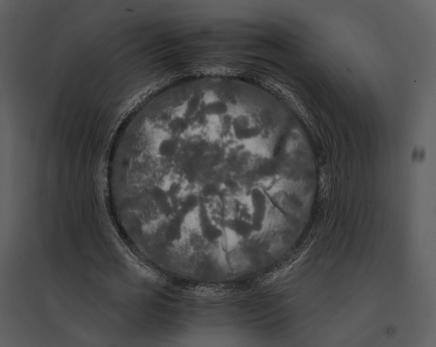 X0000095520725200801041222