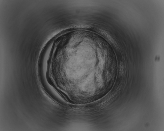 X0000095520726200801041222