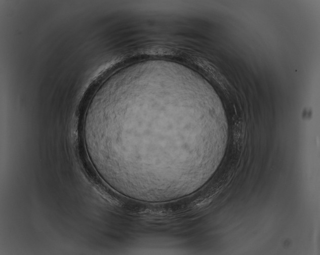 X0000095520727200801041222