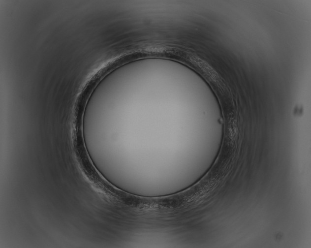 X0000095520728200801041222