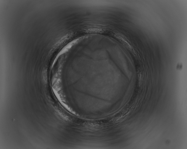 X0000095520729200801041222