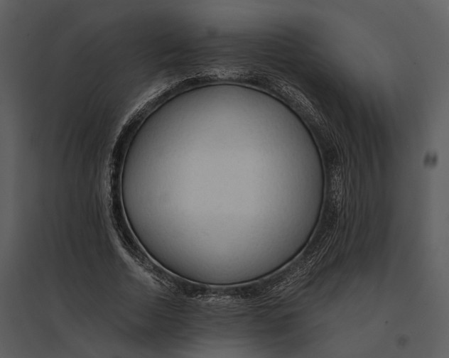 X0000095520730200801041222