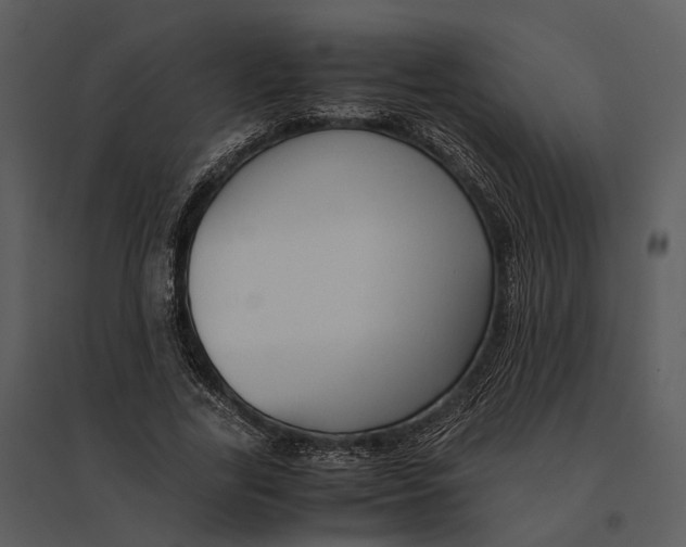 X0000095520731200801041222