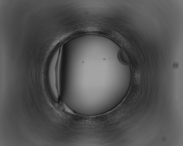 X0000095520732200801041222