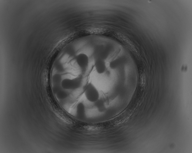 X0000095520733200801041222