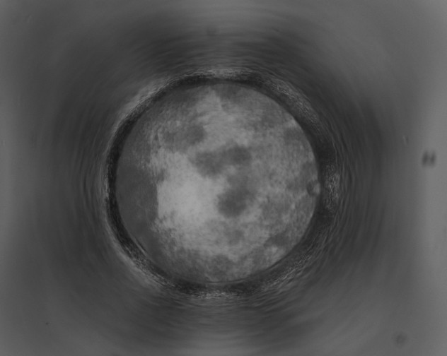 X0000095520734200801041222