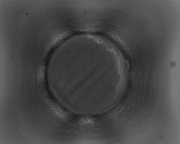 X0000095520735200801041222