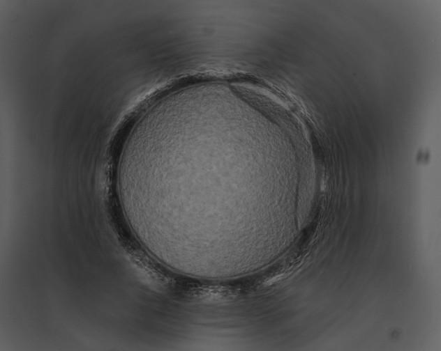 X0000095520736200801041222