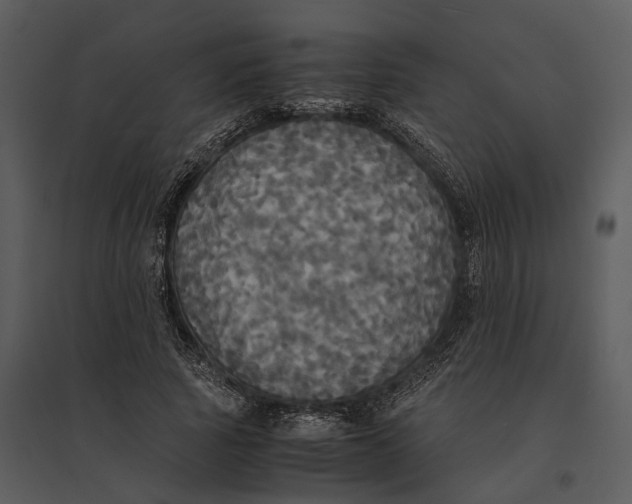 X0000095520737200801041222