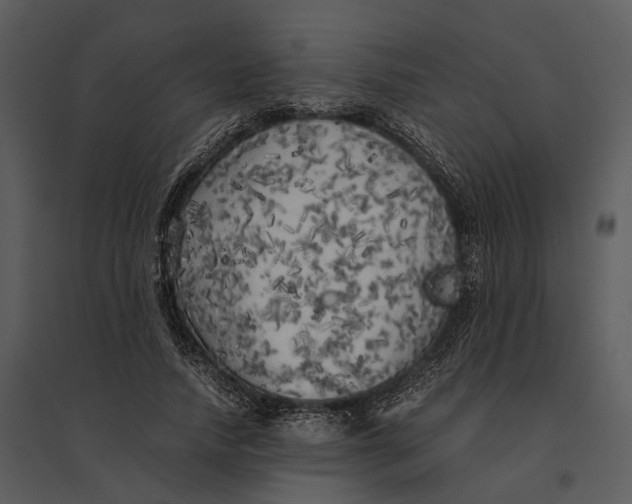 X0000095520738200801041222