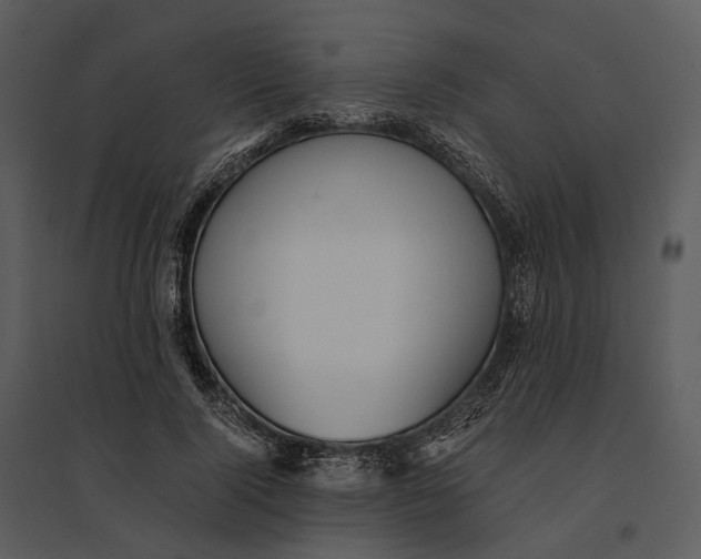 X0000095520740200801041222