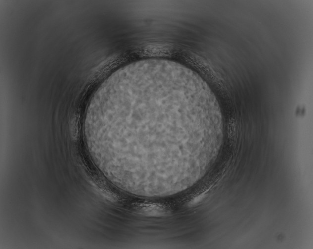 X0000095520741200801041222