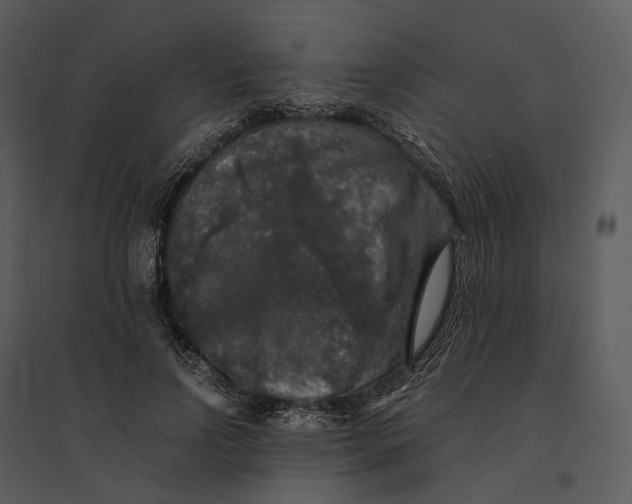 X0000095520742200801041222