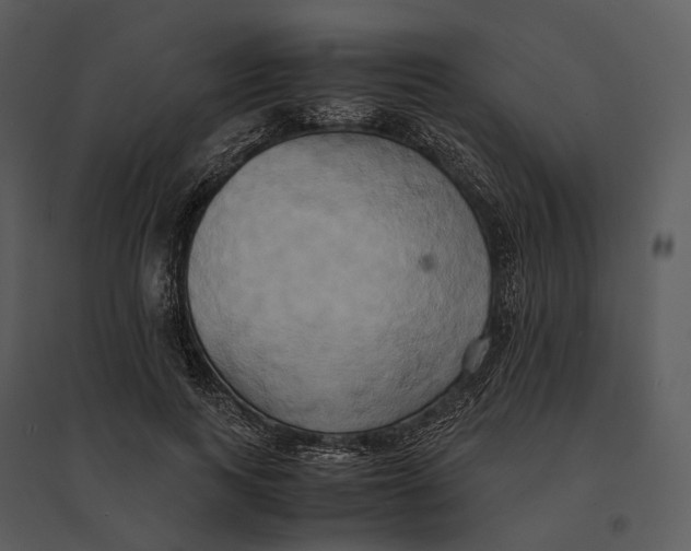 X0000095520743200801041222