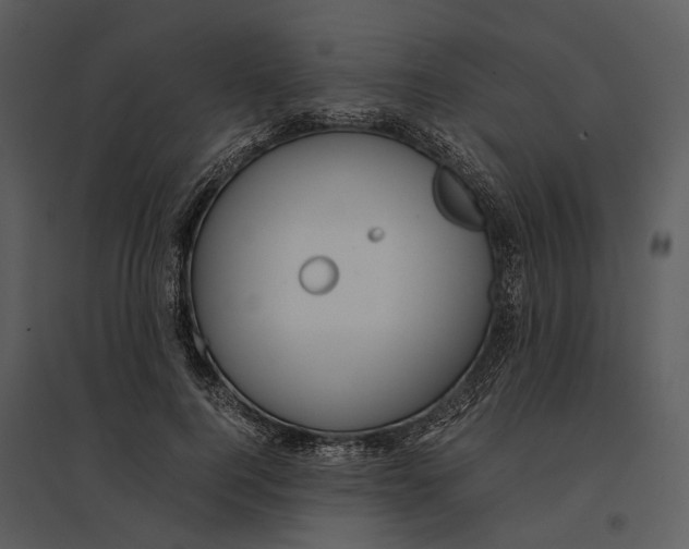 X0000095520744200801041222