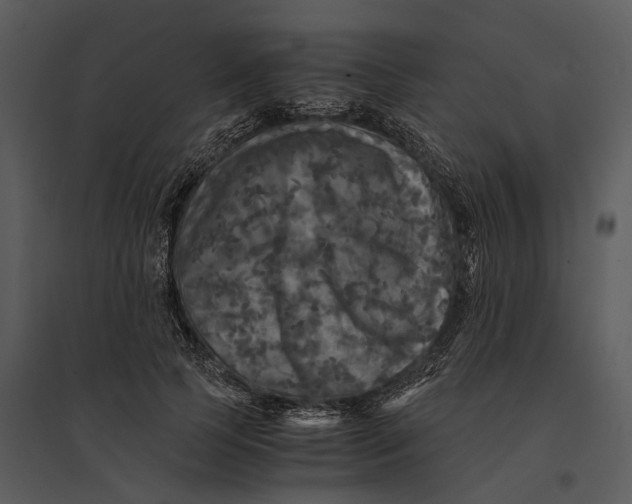 X0000095520745200801041222