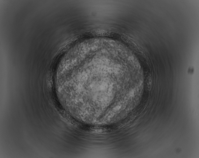 X0000095520746200801041222