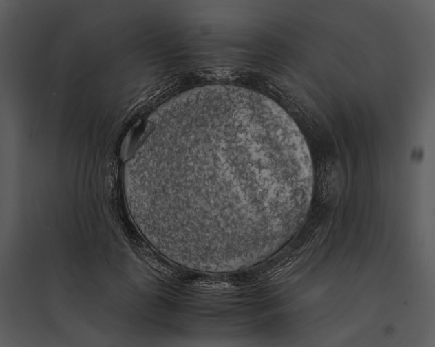 X0000095520747200801041222