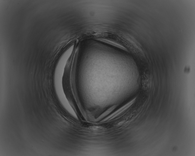 X0000095520748200801041222