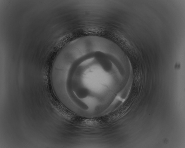 X0000095520749200801041222