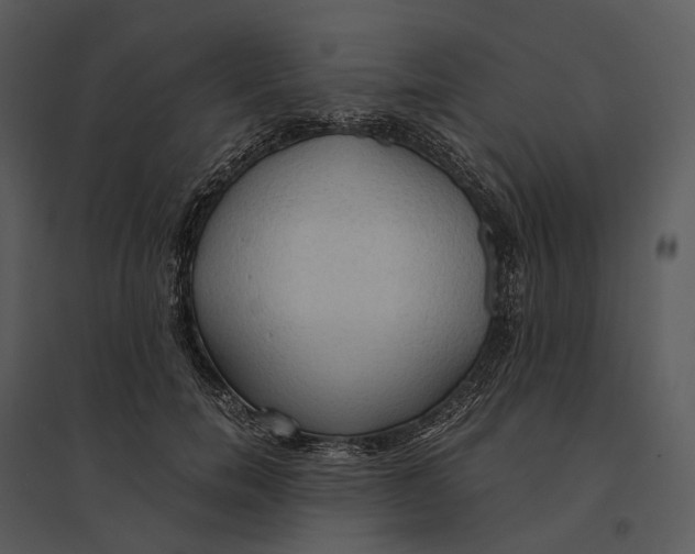 X0000095520750200801041222