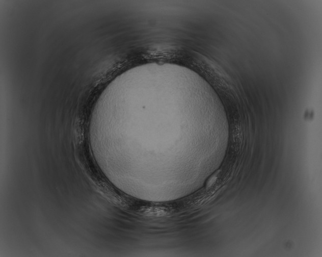 X0000095520751200801041222