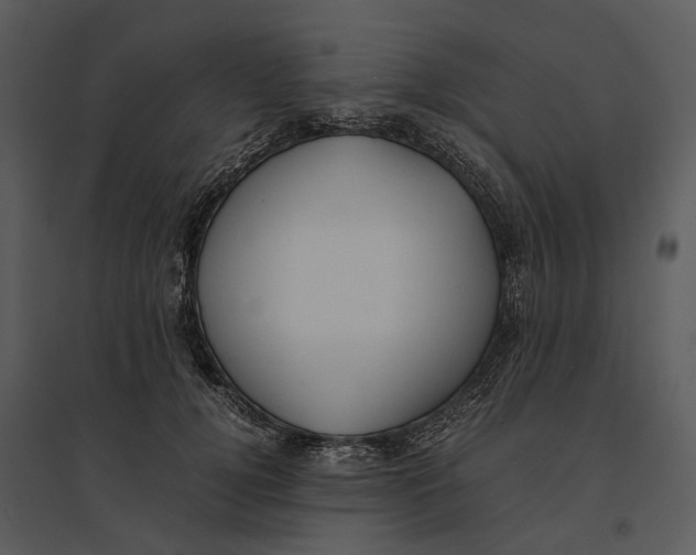 X0000095520752200801041222