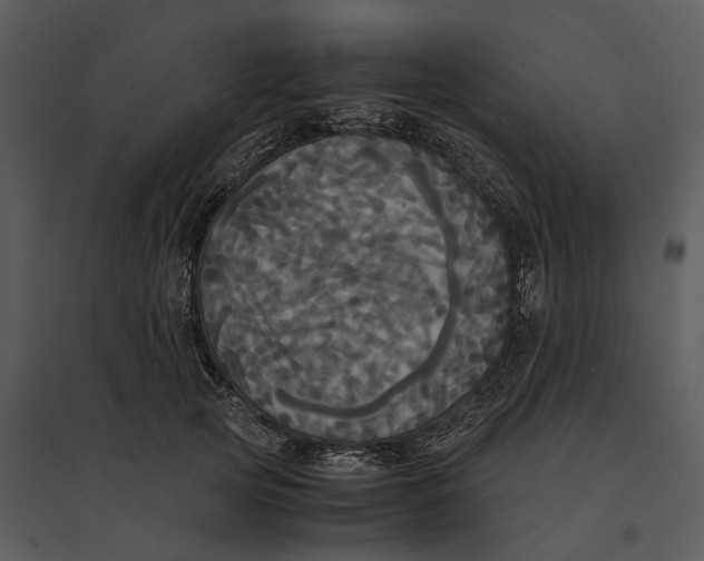 X0000095520753200801041222