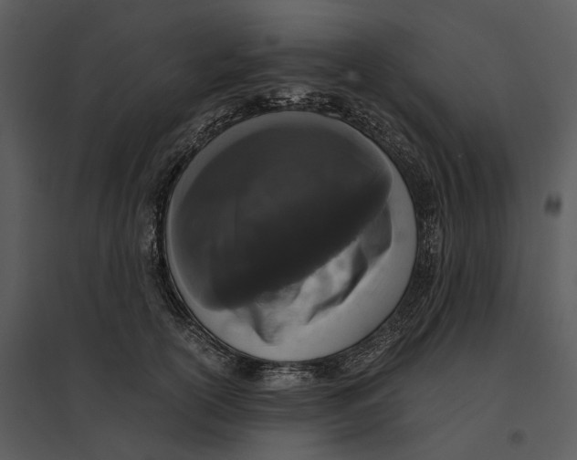 X0000095520754200801041222