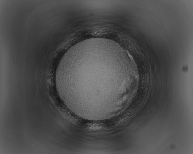 X0000095520755200801041222