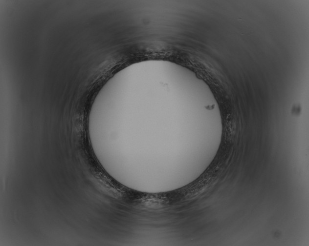 X0000095520756200801041222