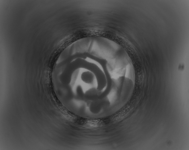 X0000095520757200801041222