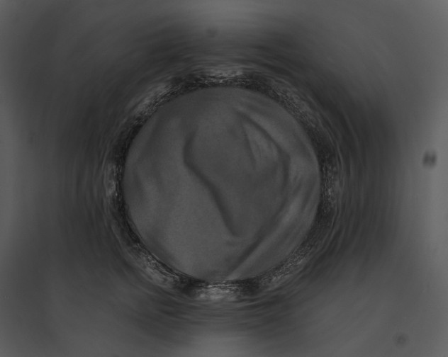 X0000095520758200801041222