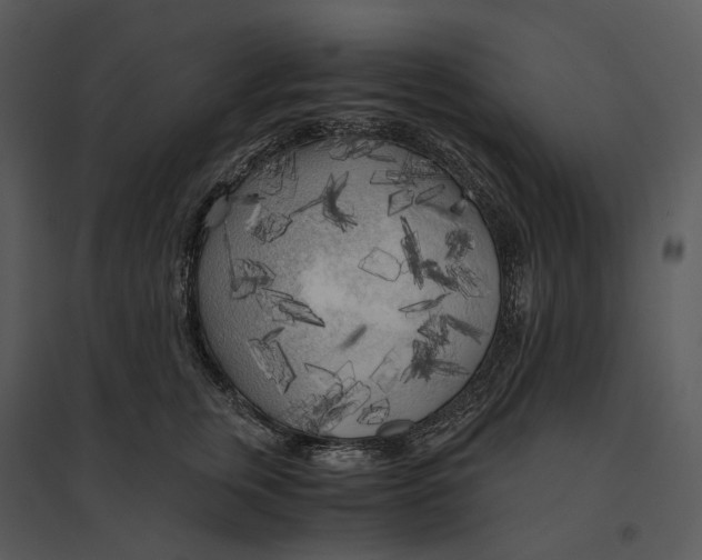 X0000095520759200801041222