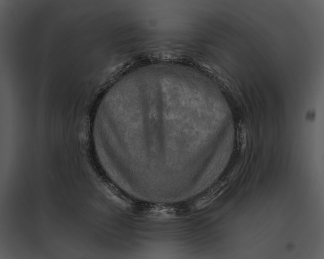 X0000095520760200801041223