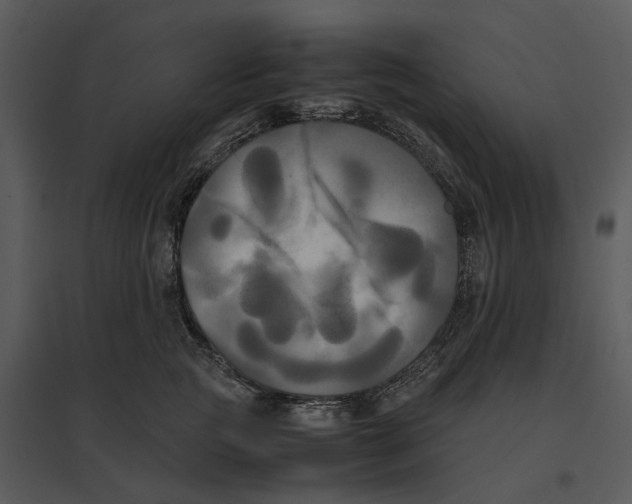 X0000095520761200801041223