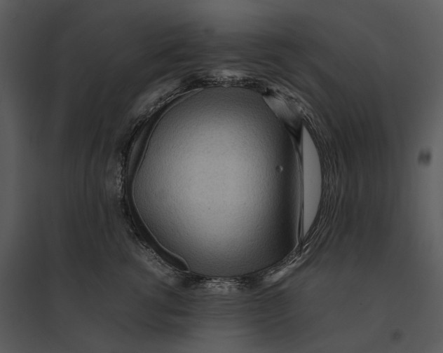 X0000095520762200801041223