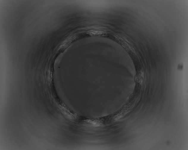 X0000095520763200801041223