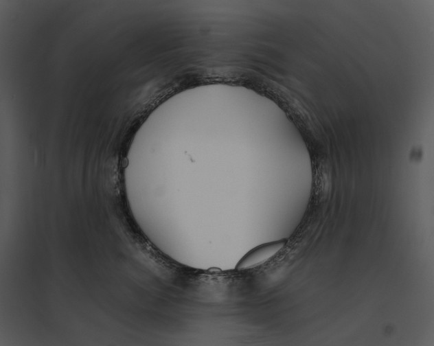 X0000095520764200801041223