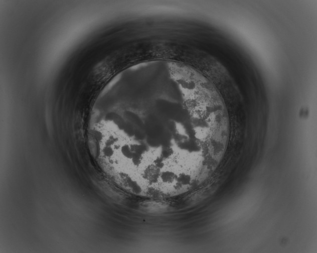 X0000095520765200801041223