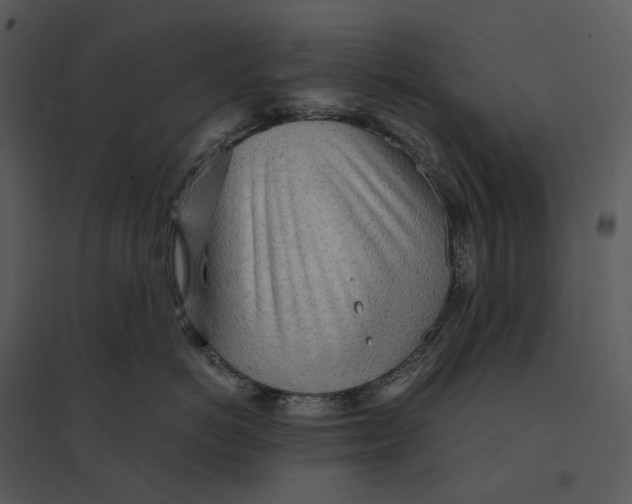 X0000095520766200801041223