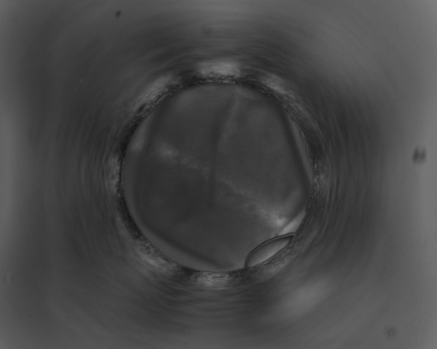 X0000095520767200801041223