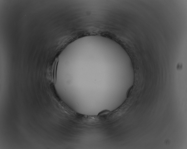 X0000095520768200801041223