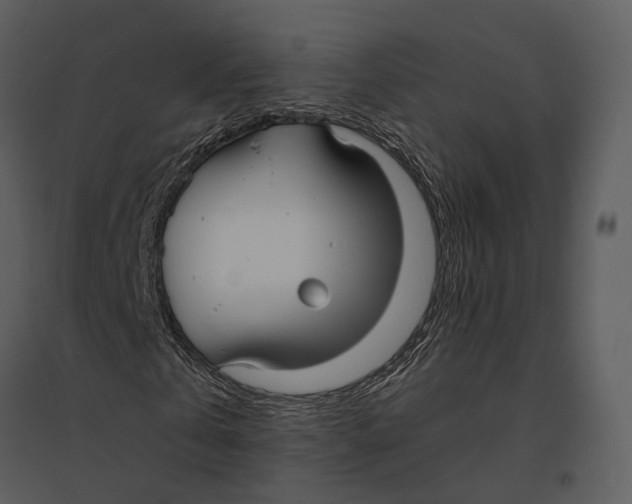 X0000095520769200801041222