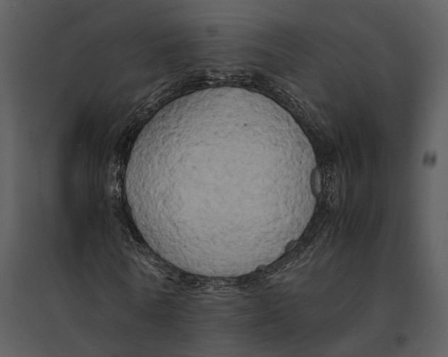 X0000095520770200801041222