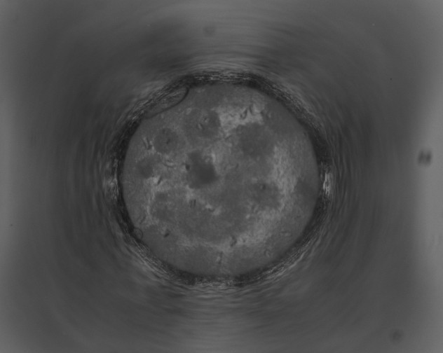 X0000095520771200801041222