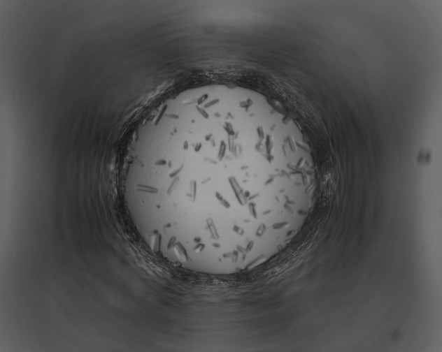 X0000095520772200801041222